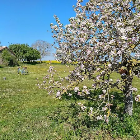 Nyaraló Maison Avec Piscine *